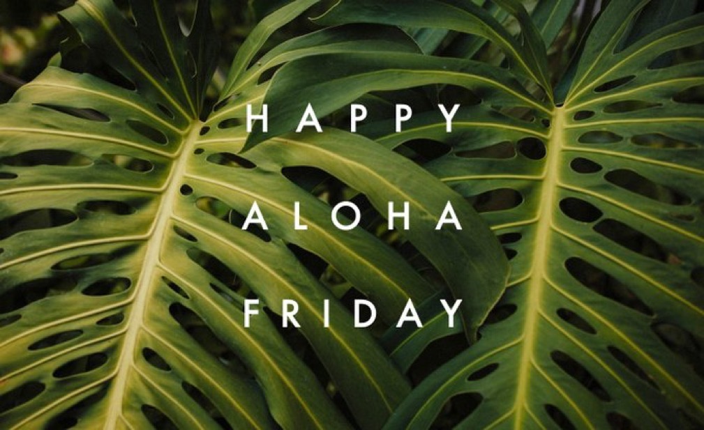 uhmanoa's tweet photo. 🌱 Happy #AlohaFriday and #EarthDay! https://t.co/J1aD4jeRbe