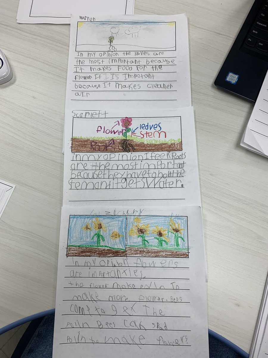 Kelly Kaplan tweet media