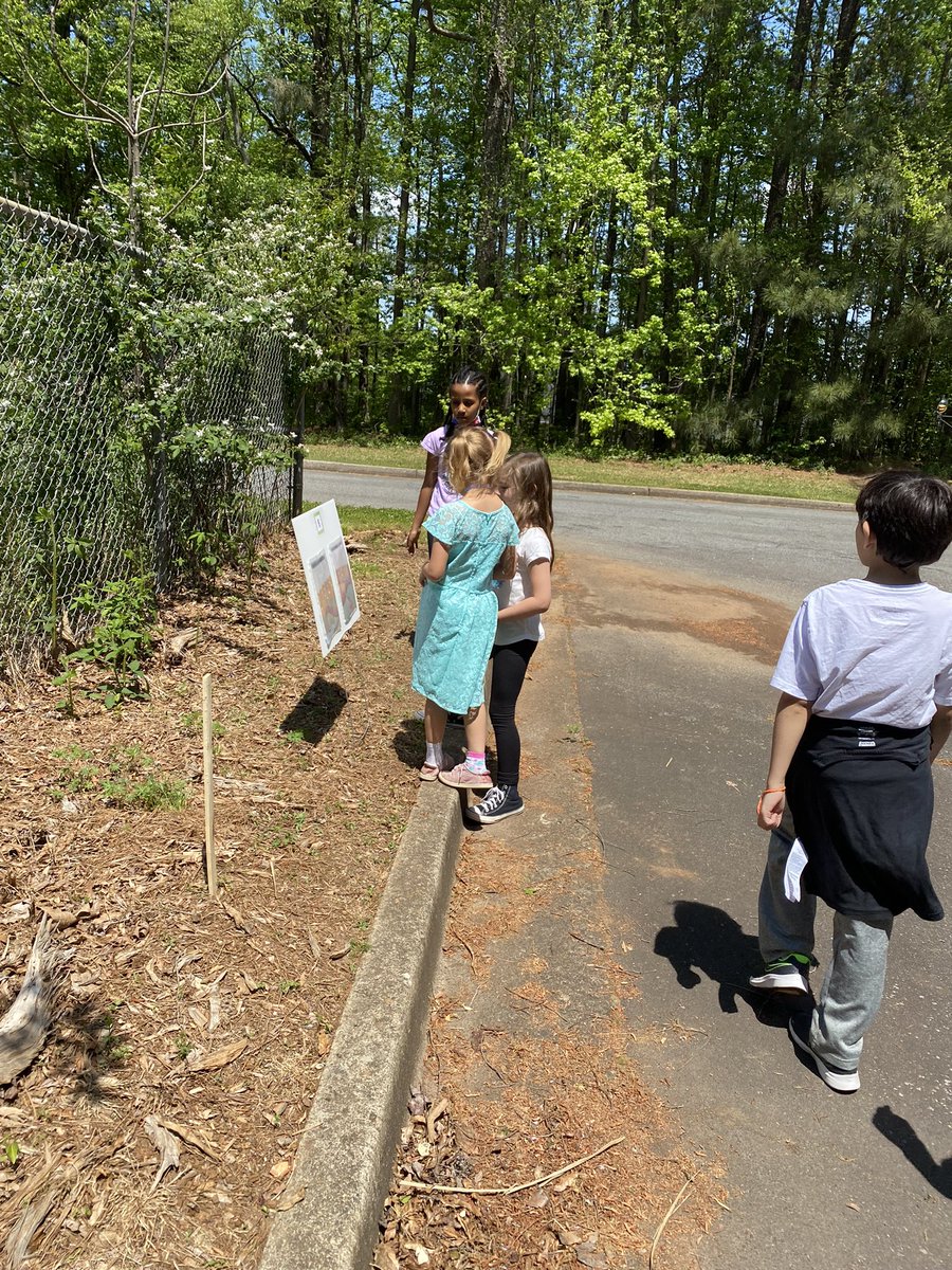 MsKoppKES's tweet photo. @KennesawMC with another awesome Story Walk. Dragons really do looooove tacos! (So do we!) #EarthDay https://t.co/n6MojqmxK5