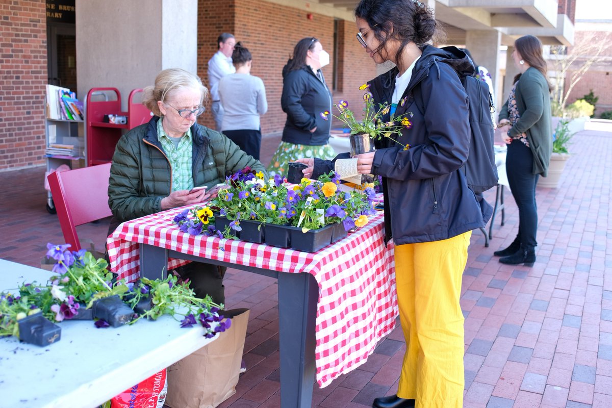 loomischaffee's tweet photo. Happy #EarthDay! 🌎 Students celebrated sustainability by making up-cycled plastic bottle mini-gardens and repurposing old @BrushLibrary books to create blackout poetry in honor of #NationalPoetryMonth! 

#LoomisChaffee #LCThinkGreen #HappyEarthDay https://t.co/SW3rSemKgE