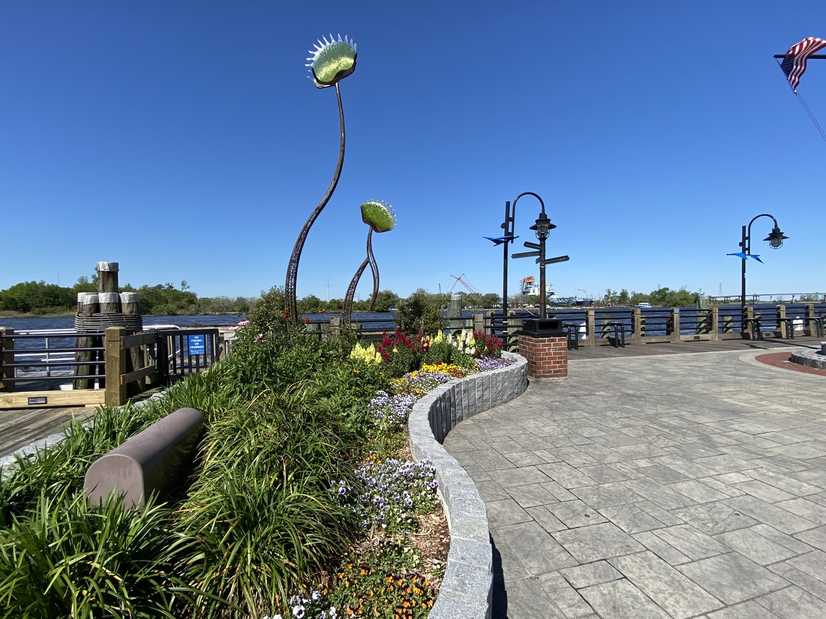 CityofWilm's tweet image. Good morning, everyone. Just taking a quick stroll in this beautiful city we get to call home. 💙