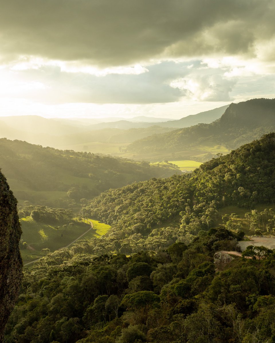 igoriamonti's tweet photo. GM, some pictures of Brazil and its nature in this Earth Day. Enjoy.

#nftart #nftcommunity #nftphotography #artvsartist2022 #NFT #landscapephotography #EarthDay #NaturePhotography https://t.co/1irQQObD1X