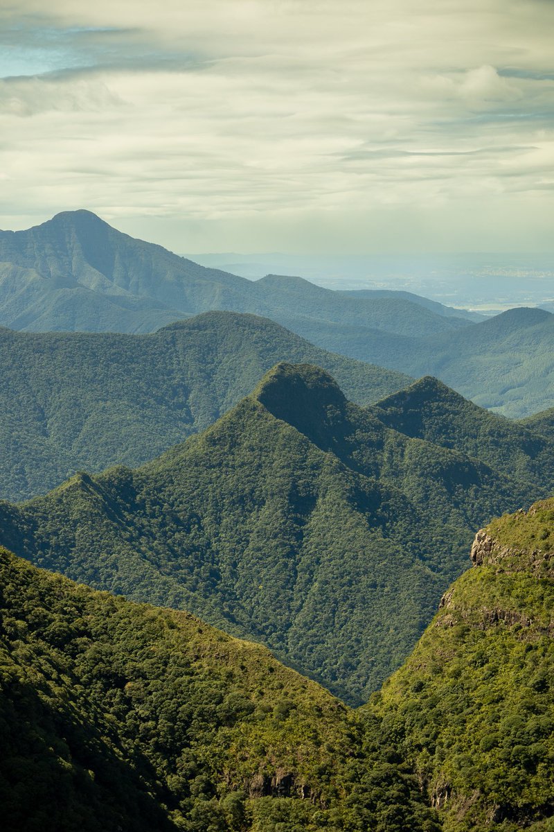 igoriamonti's tweet photo. GM, some pictures of Brazil and its nature in this Earth Day. Enjoy.

#nftart #nftcommunity #nftphotography #artvsartist2022 #NFT #landscapephotography #EarthDay #NaturePhotography https://t.co/1irQQObD1X