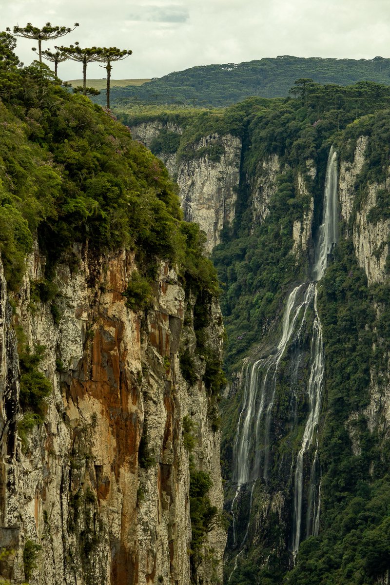 igoriamonti's tweet photo. GM, some pictures of Brazil and its nature in this Earth Day. Enjoy.

#nftart #nftcommunity #nftphotography #artvsartist2022 #NFT #landscapephotography #EarthDay #NaturePhotography https://t.co/1irQQObD1X