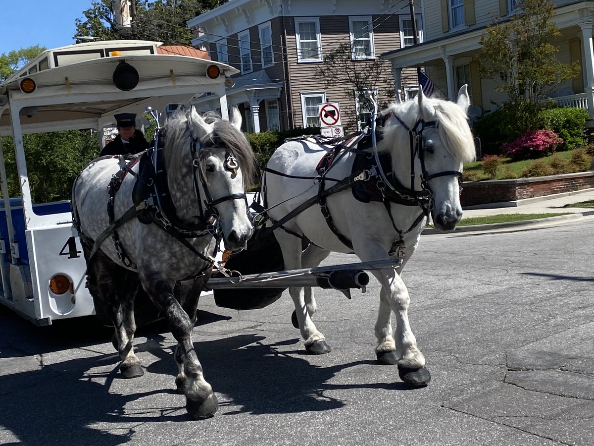 CityofWilm's tweet image. Good morning, everyone. Just taking a quick stroll in this beautiful city we get to call home. 💙