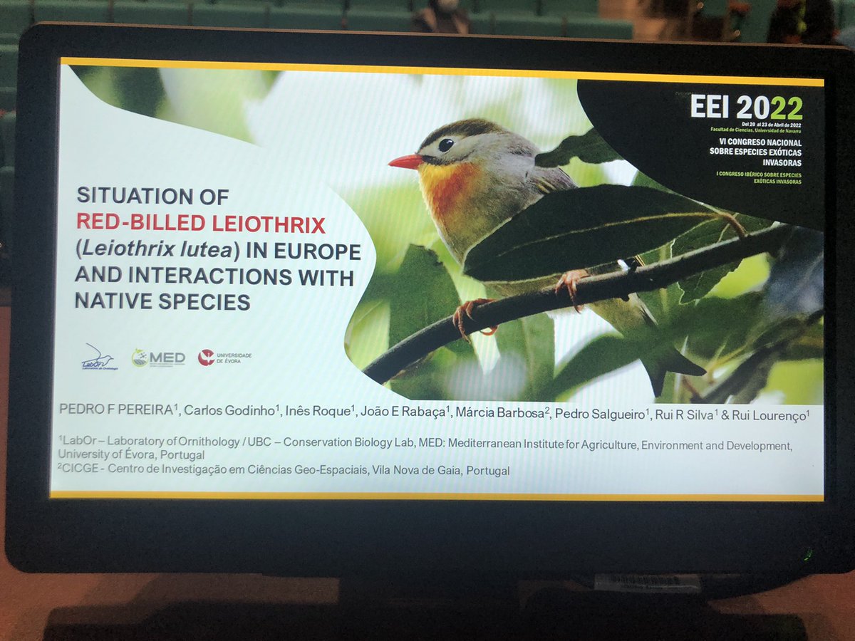 🗣Comenzamos con la última jornada de este viernes hablando de #EEI que llevan años introducidas en la península Ibérica, como el visón americano, y otras incipientes, como es el ruiseñor del Japón #EEI2022