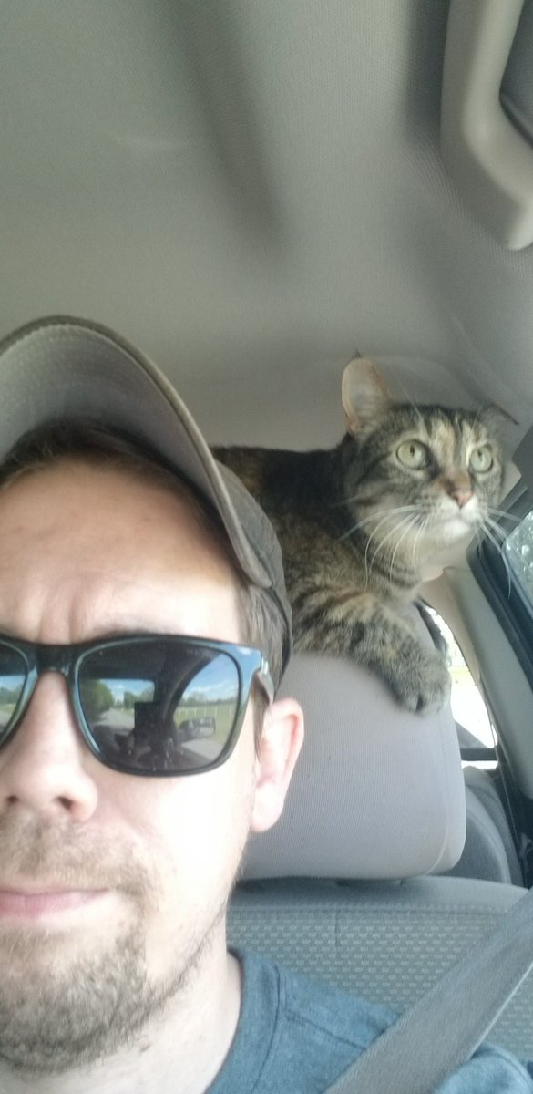 Backseat drivers....