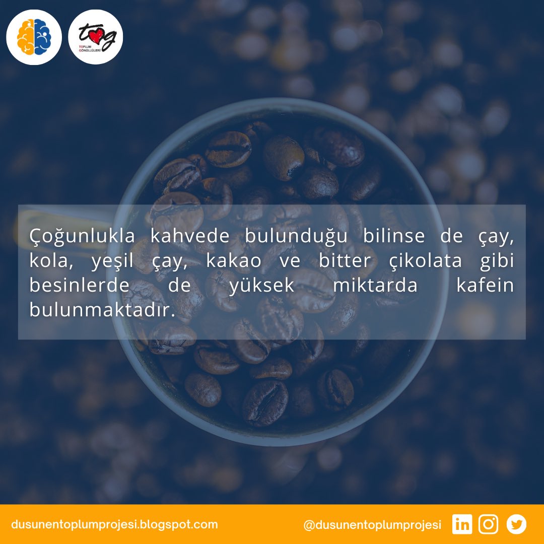DusunenToplumP's tweet photo. “Kafeinin İnsan Vücuduna Etkisi” adlı yazının devamı için profildeki web sitesini ziyaret etmeyi unutmayın. Keyifli okumalar! #kafein #kahve #etki #vücud #düşünentoplumtog #düşünentoplumprojesi #düşünentoplum #togvakfı #togsaha https://t.co/n2Cfdv3THc