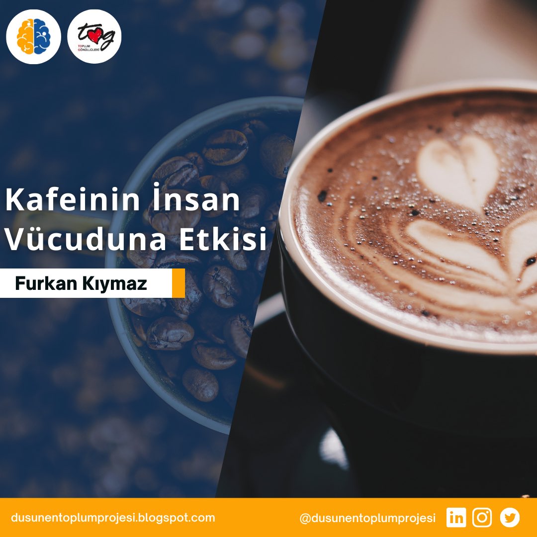 DusunenToplumP's tweet photo. “Kafeinin İnsan Vücuduna Etkisi” adlı yazının devamı için profildeki web sitesini ziyaret etmeyi unutmayın. Keyifli okumalar! #kafein #kahve #etki #vücud #düşünentoplumtog #düşünentoplumprojesi #düşünentoplum #togvakfı #togsaha https://t.co/n2Cfdv3THc
