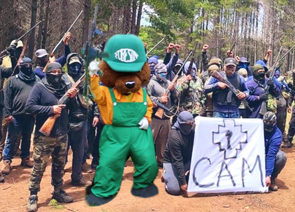 La esposa de Aucan Huilcaman, nueva directora de la CONAF en la Araucanía, ya habría mandado a Forestin como combatiente de la CAM.