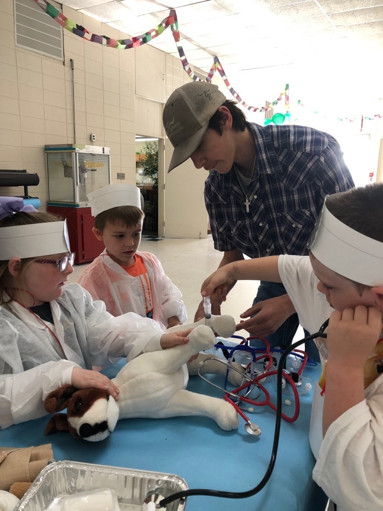 With the help of HOSA and FFA students from MHHS, the firsties in Baker’s and Stone’s classes had “Operation Day” complete with compound WORD surgery and an autopsy of a STORY. What a fantastic integration!