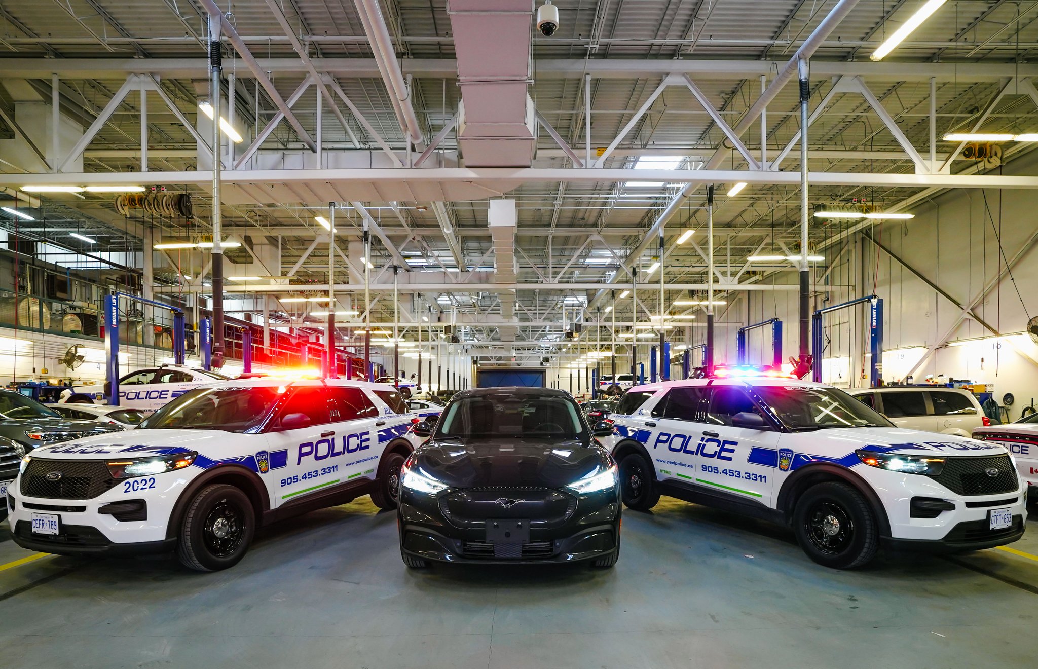 Peel Regional Police on Twitter "Peel Regional Police Set to Deploy it