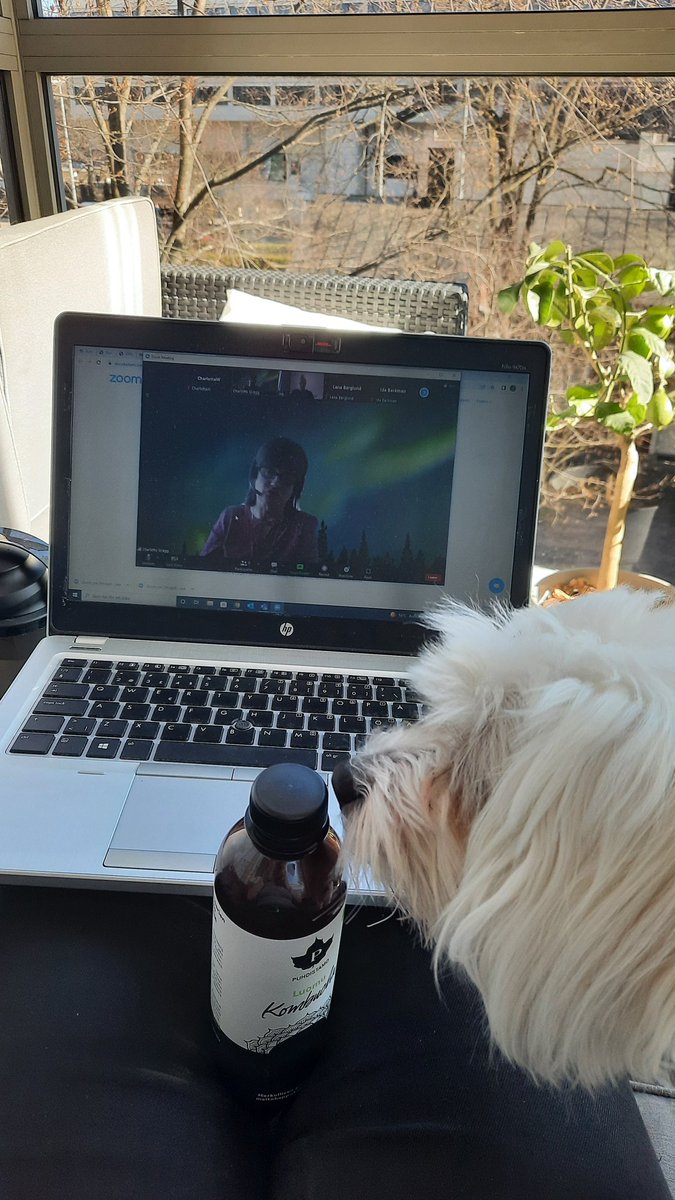 Charlotta89's tweet photo. Chansen att man hålls vaken under en föreläsning är större om man sitter ute i solen på balkongen än om man ligger under täcket i sängen 😃 #studeravidsidanavheltidsjobb #specped https://t.co/dvlbw8oHB7