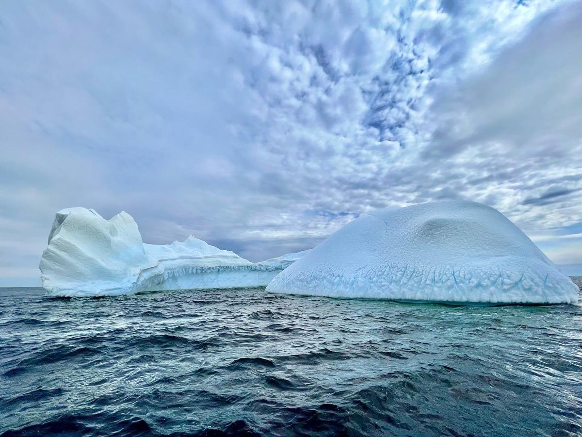 Taken this morning in Twillingate! 📸: <a href="/twillingate/">TwillingateAdvTours</a>