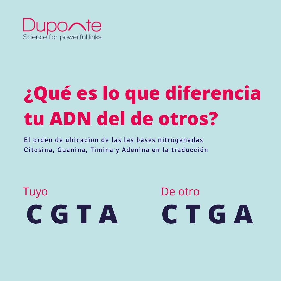A veces pequeñas cosas pueden hacer grandes cambios. duponteadn.com #ADN #diferencias #genomica #genes #cromosomas