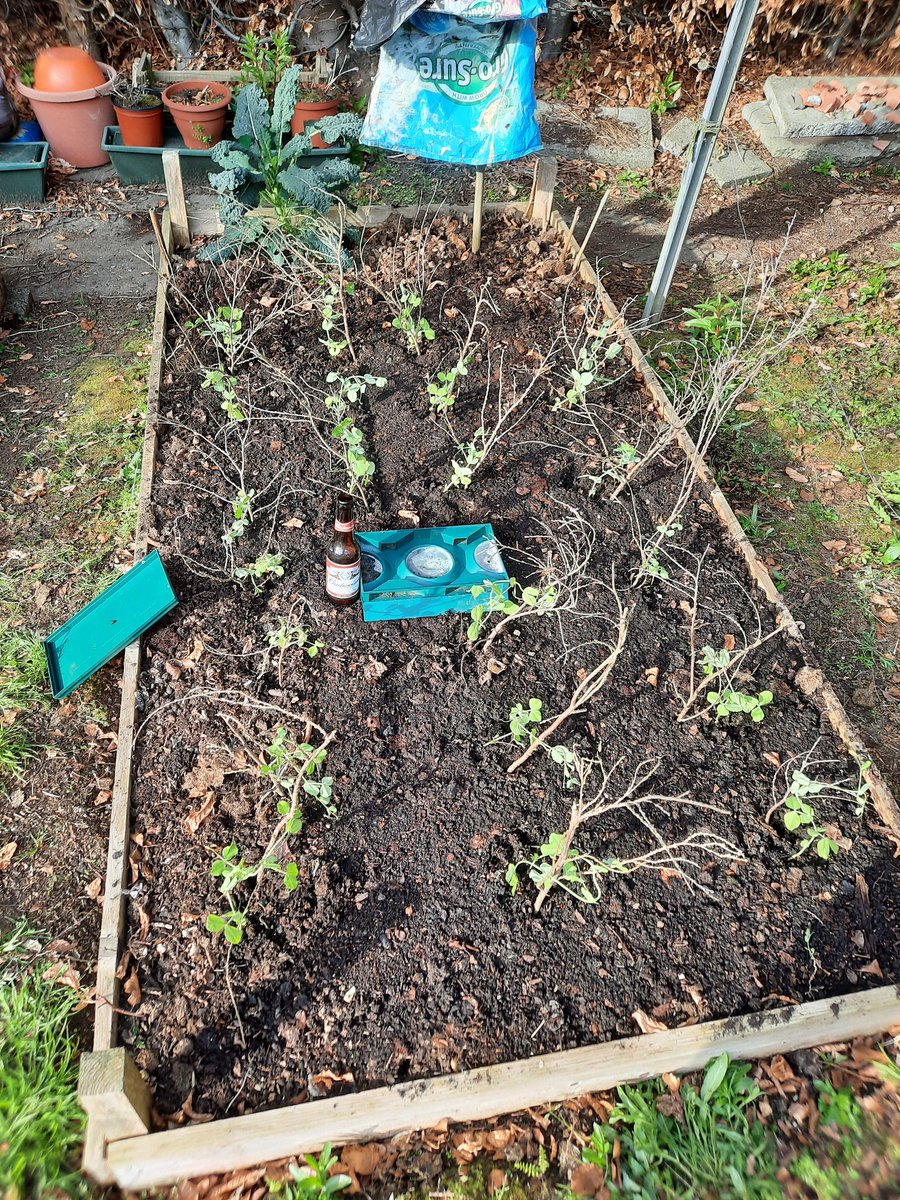 TradeandExport's tweet photo. Nice day for the garden. A few slugs about.
'This one's for them'
#garden #slugtrap https://t.co/jTxI8tsURp