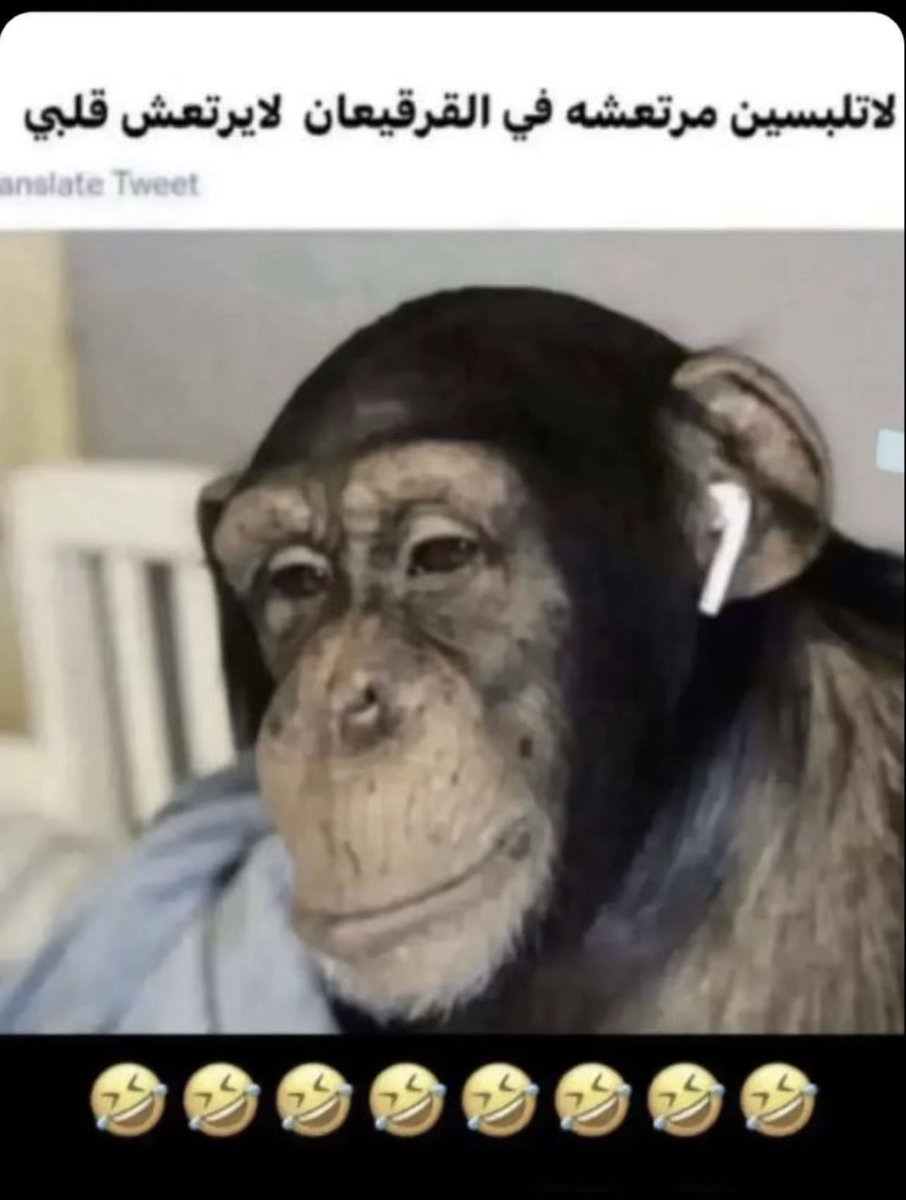 outofcontrol_z's tweet image. 