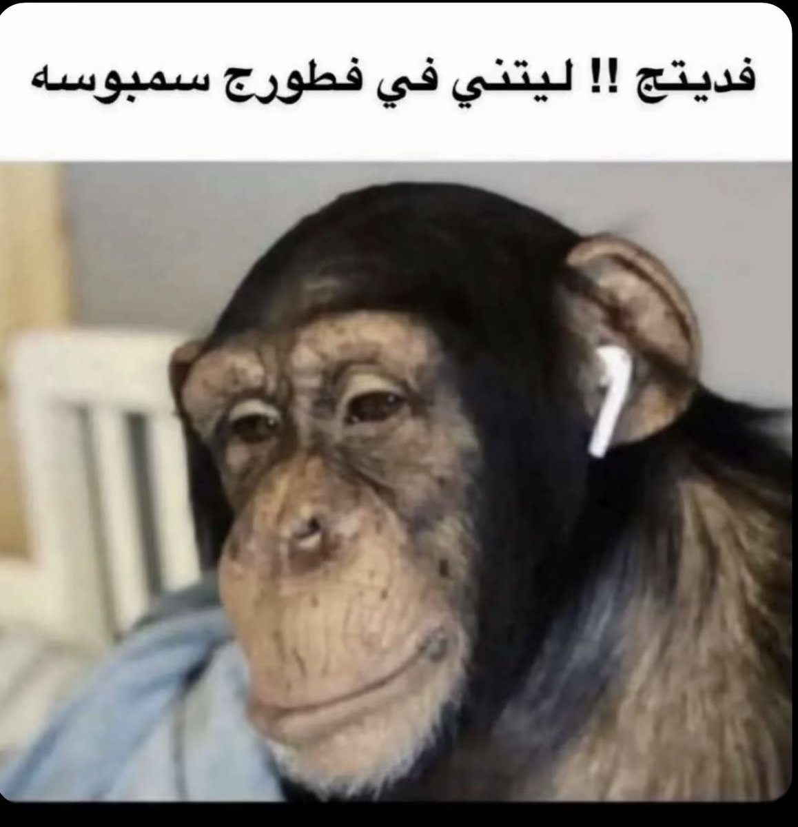 outofcontrol_z's tweet image. 