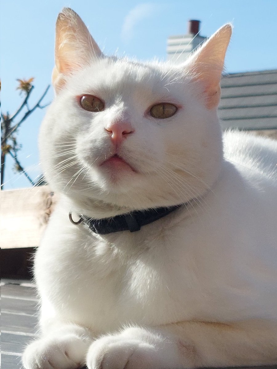 😍 Sharon Weaden 😍 tweet media