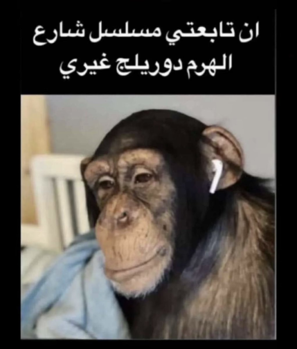 outofcontrol_z's tweet image. 