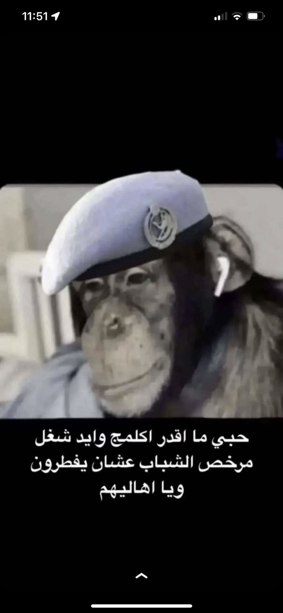 outofcontrol_z's tweet image. 