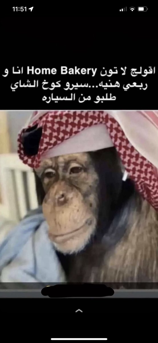 outofcontrol_z's tweet image. 