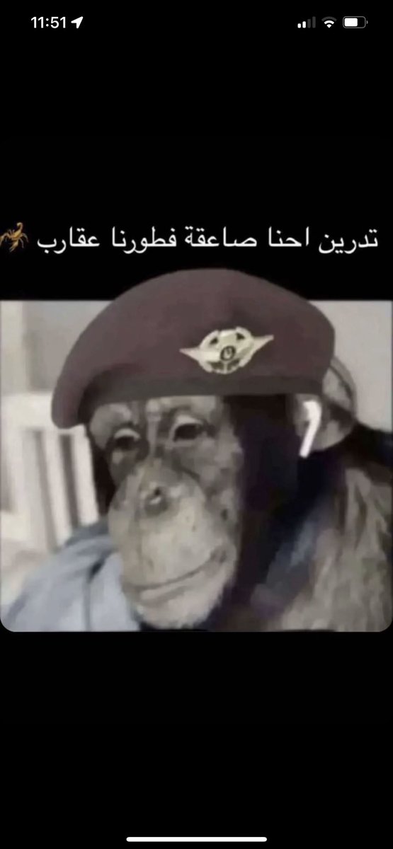 outofcontrol_z's tweet image. 