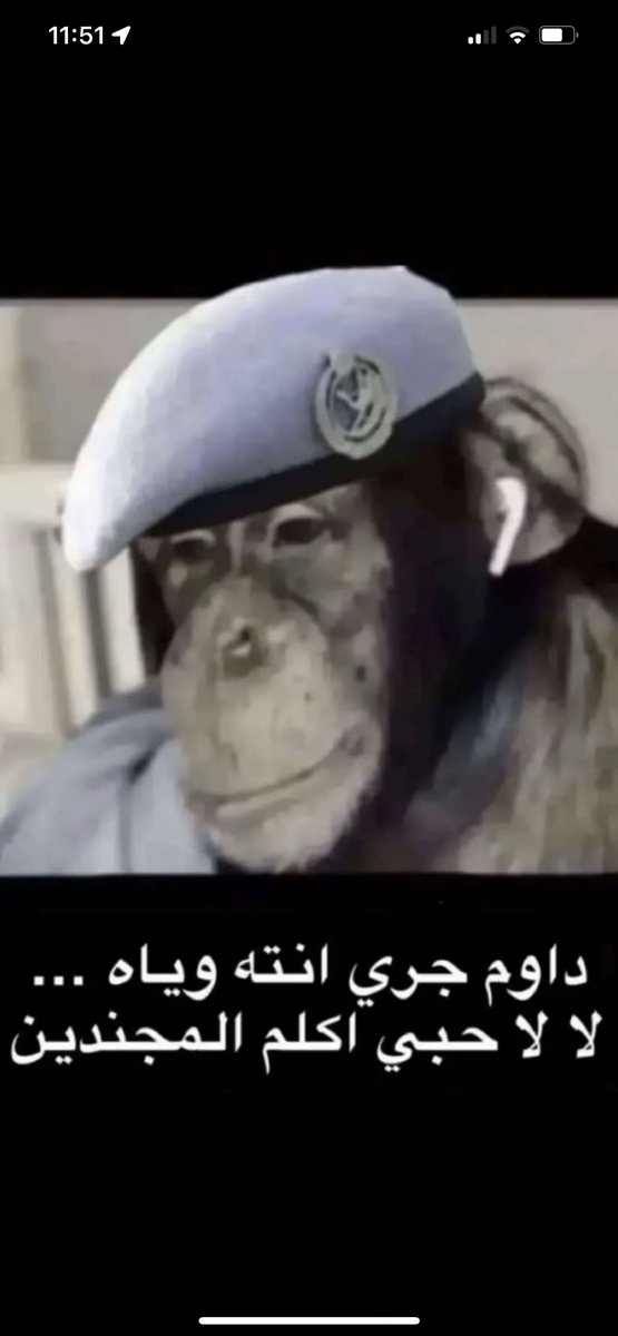 outofcontrol_z's tweet image. 