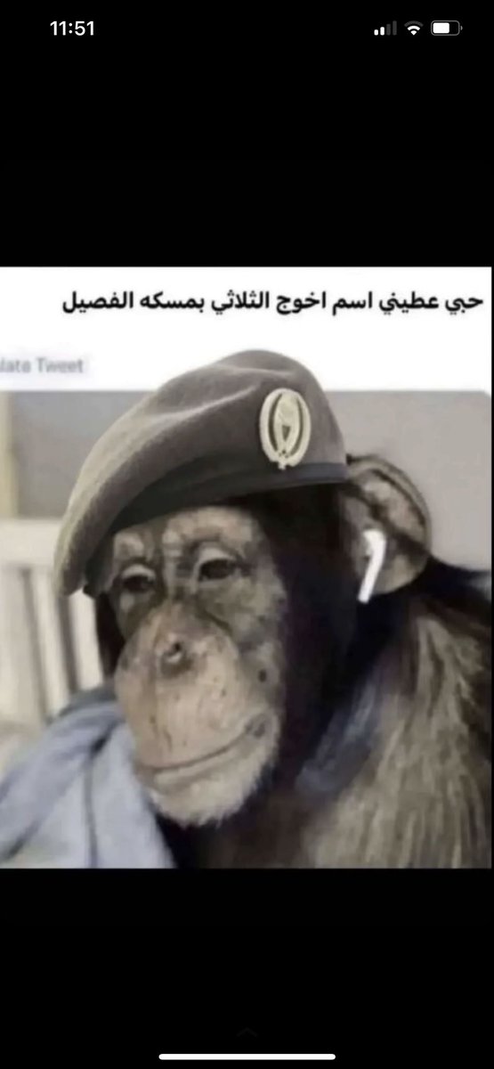 outofcontrol_z's tweet image. 