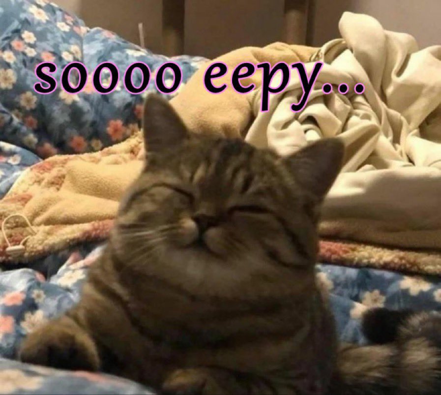 ttjesje's tweet image. where do you lie on the the soooo eepy to eep spectrum