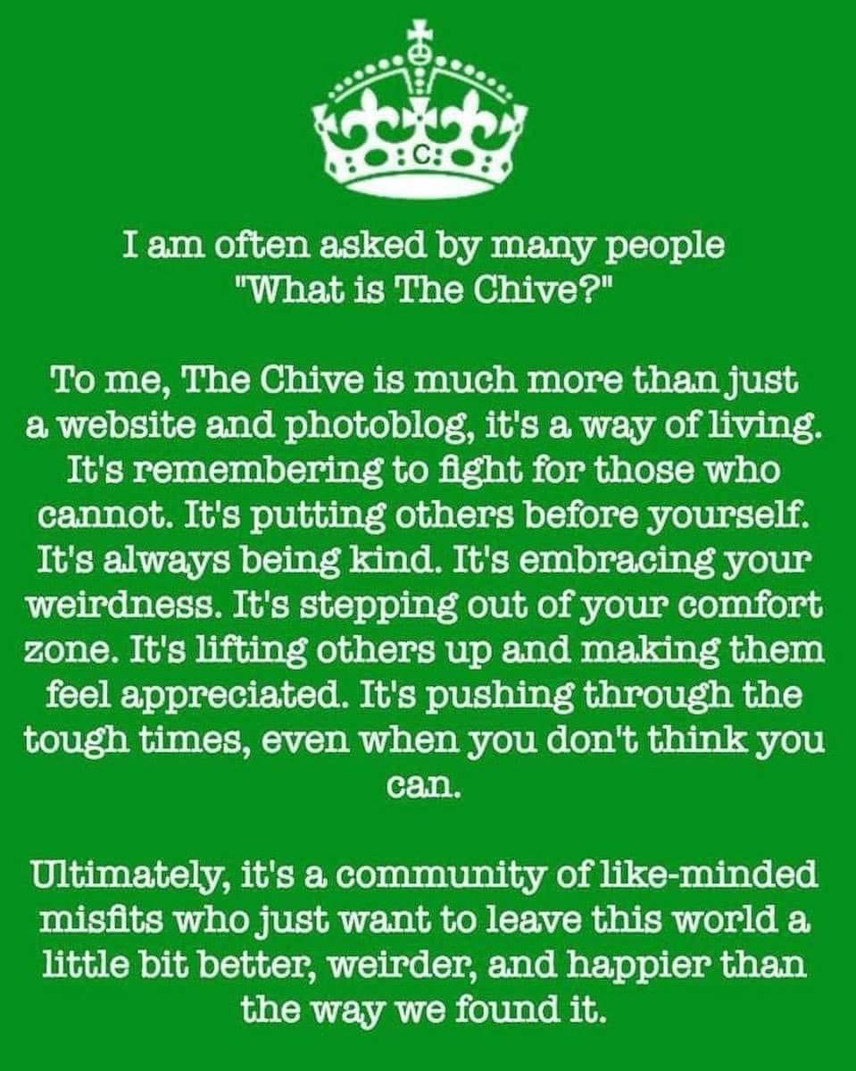 PortlandChive's tweet photo. #WhyWeChive ❤️ https://t.co/zZN37PcHLr