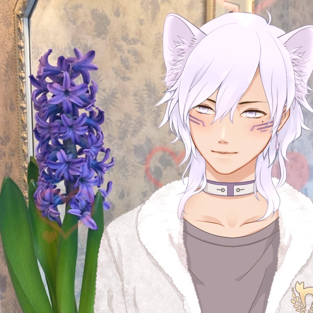 なずき Nazuki Doll Twitter