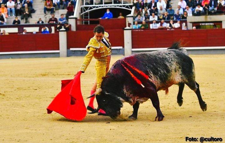 Victoriano del Río tweet media