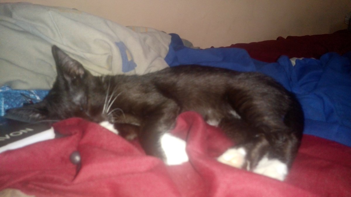 Gerop_uu tweet media