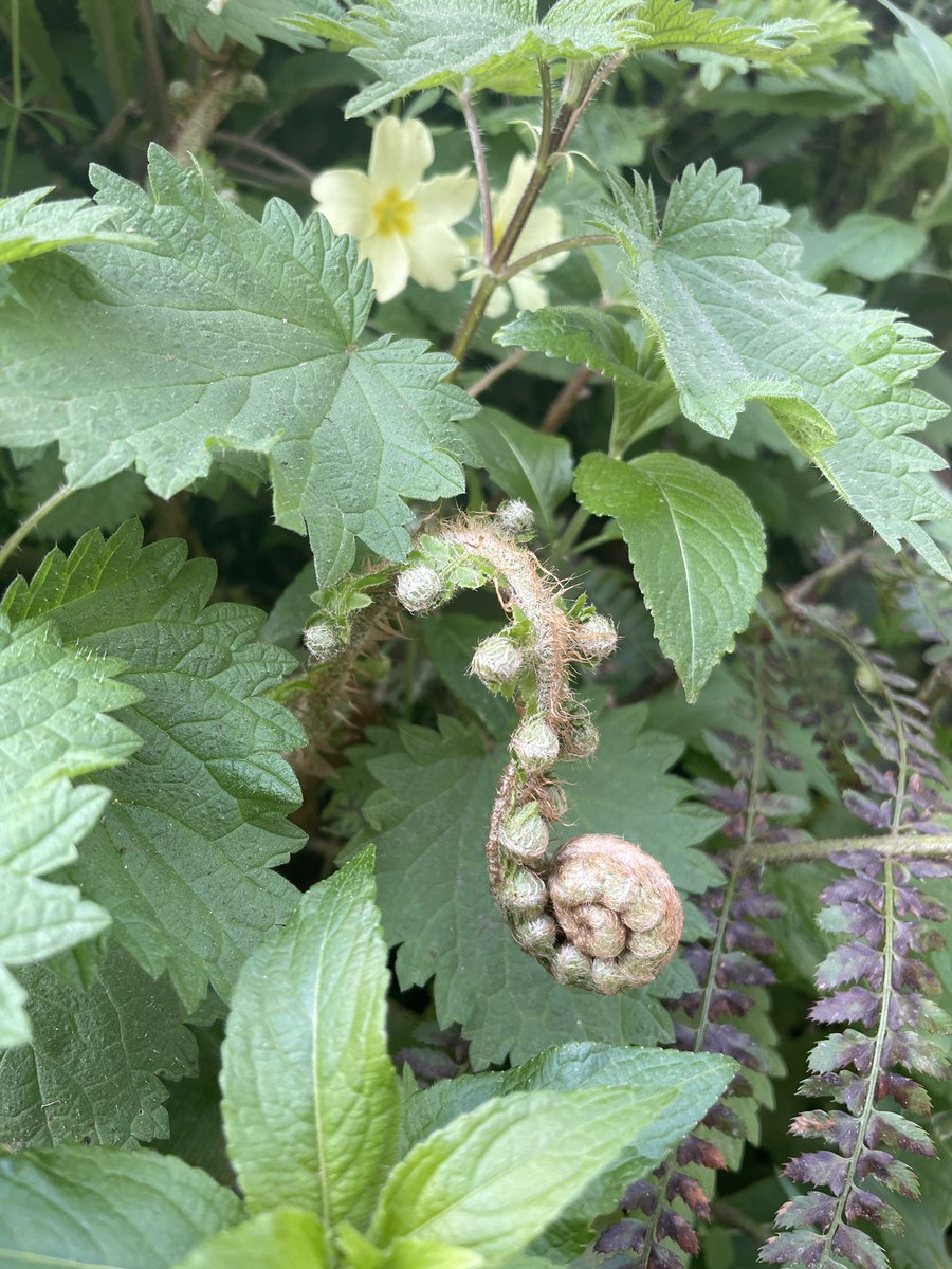 Cath Cooke tweet media