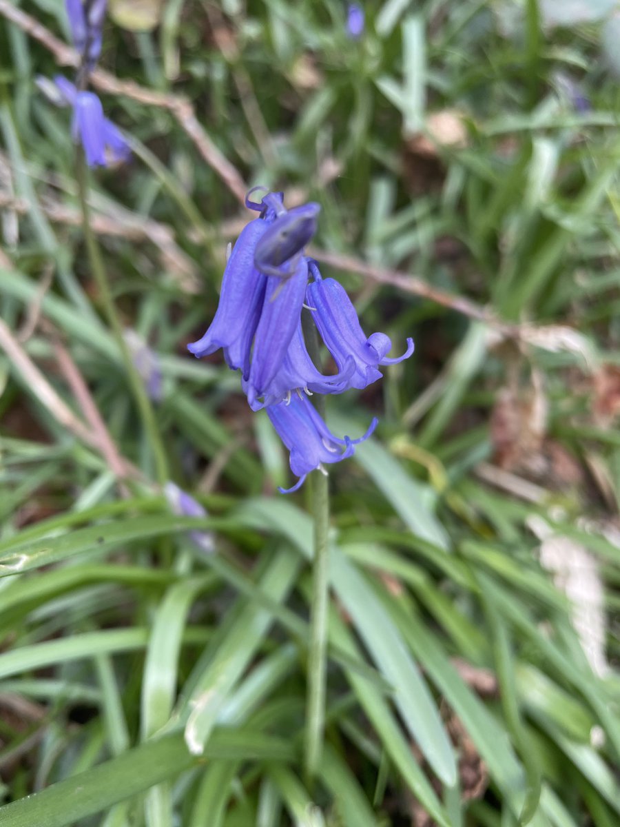 Cath Cooke tweet media