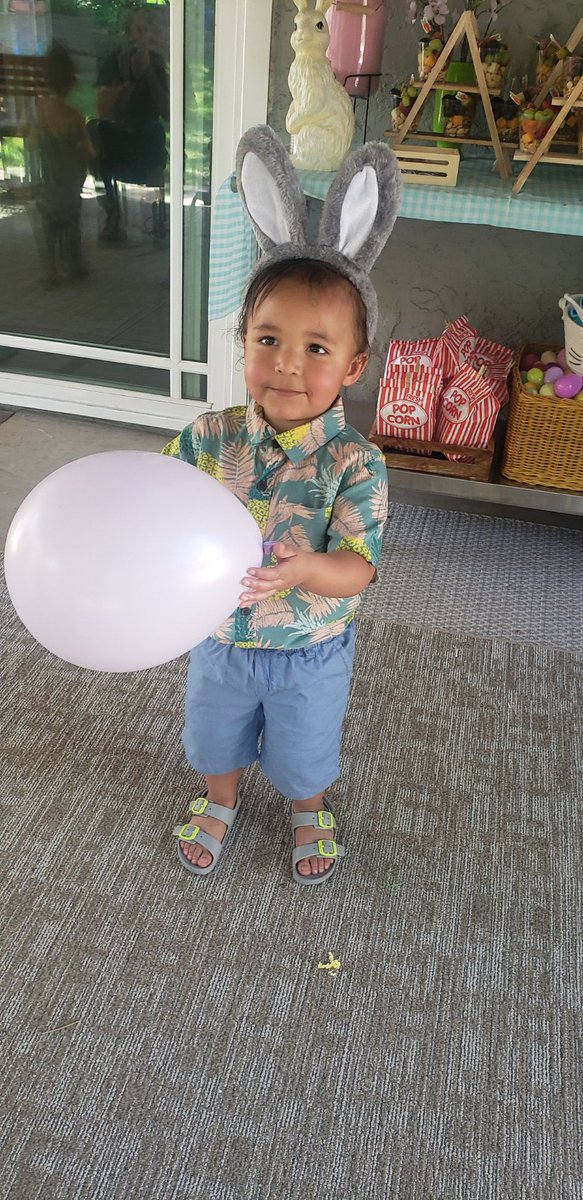 irieroze's tweet image. A kid name Ambrose 🐰
#gerberphotosearch2022