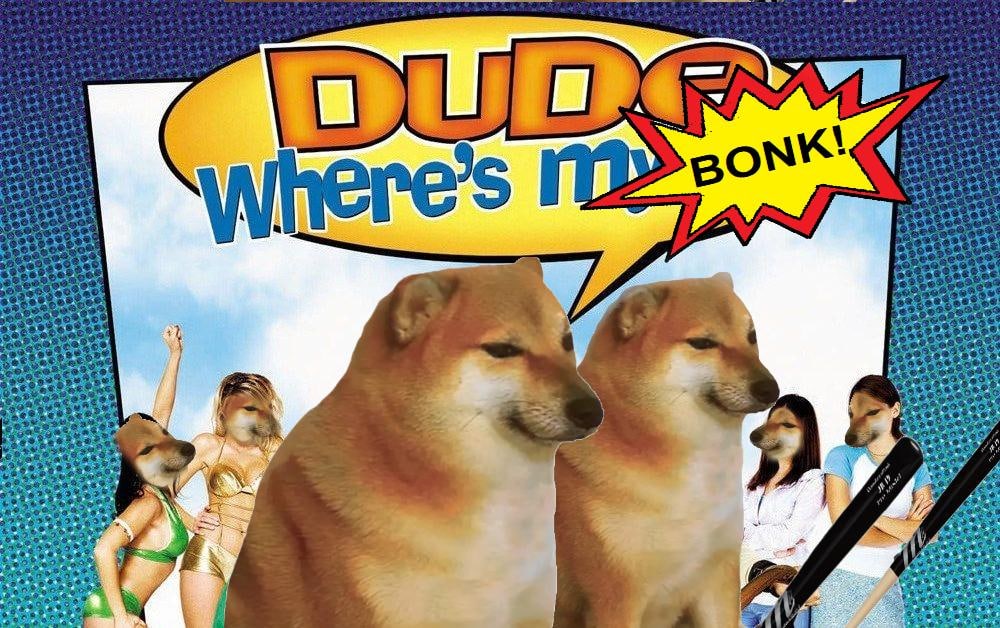 Bonks4ever's tweet photo. Hi @RhysGodwin I know you were excited for #MemeTech but as you're seeing, $cinu is a scam. If you want a great community, the best memes, and no false promises you're always welcome @dogebonk_token https://t.co/3m0D8gpI0A