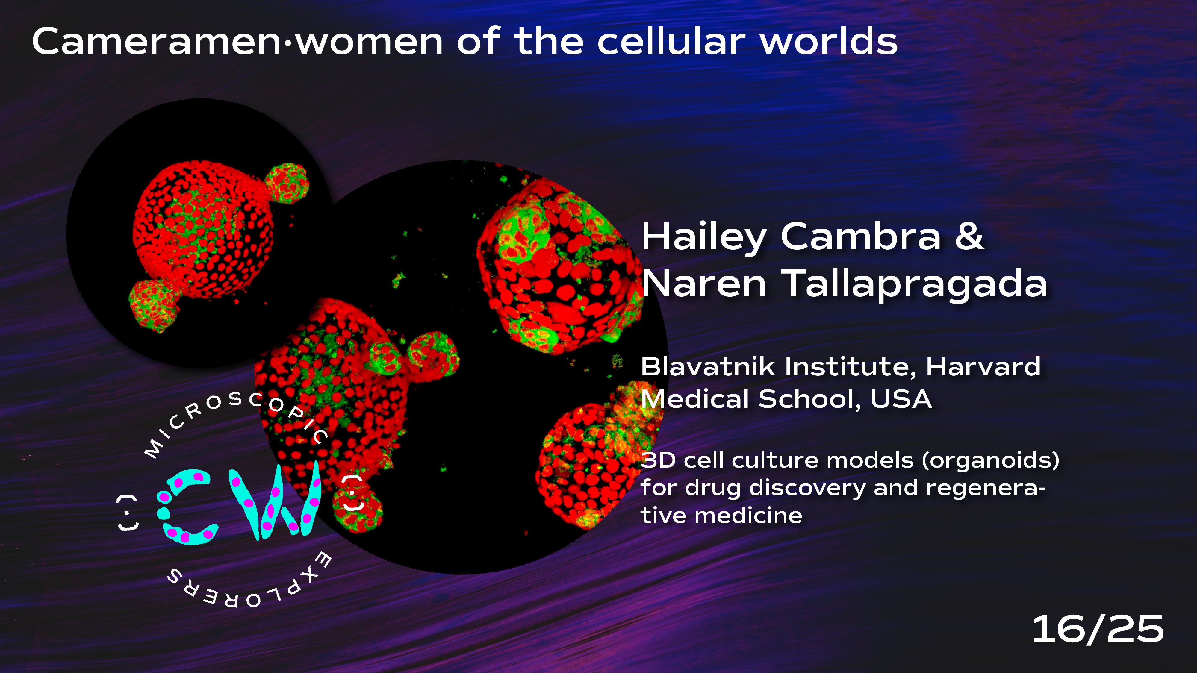 Calendrier Ramadan 2023 Belfort Pjxhfjqn46Cntm