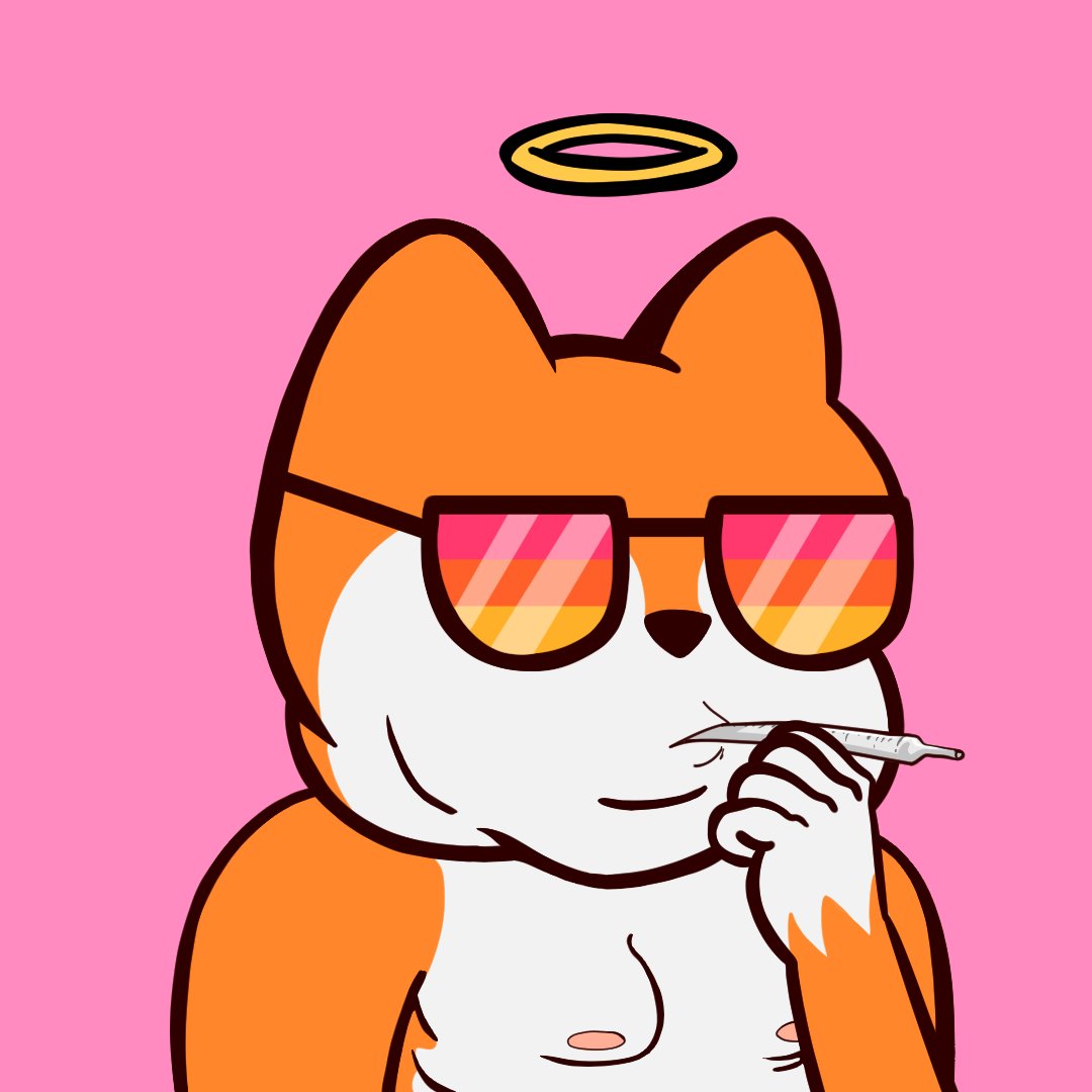 FAT FOX FED (SOLD OUT) tweet media