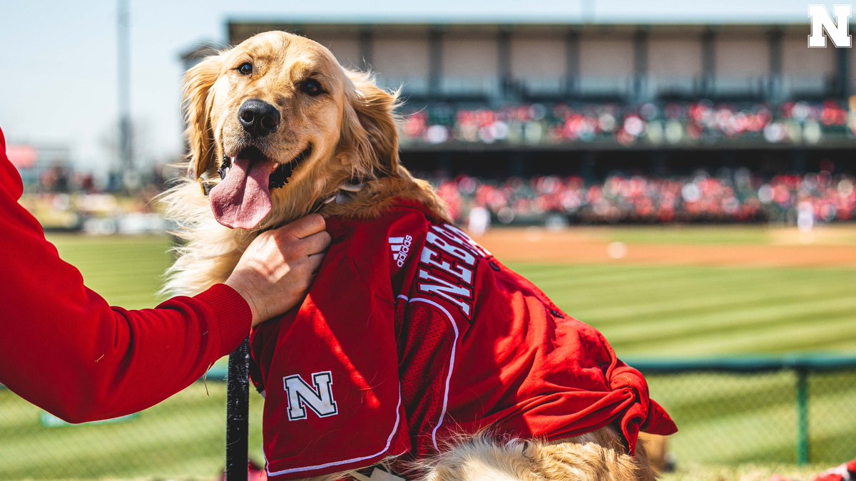 HuskerBaseball's tweet photo. Some of our favorite four-legged fans. https://t.co/TohDYE8sSM