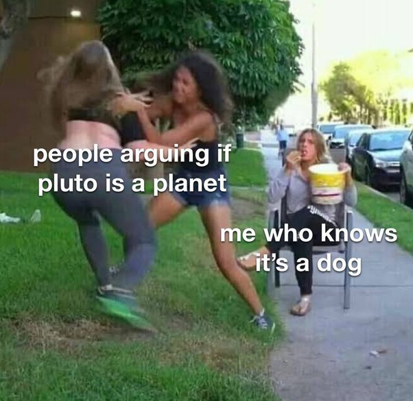 myunclesmemes's tweet photo. YES its a dog https://t.co/1egLcg8V8t