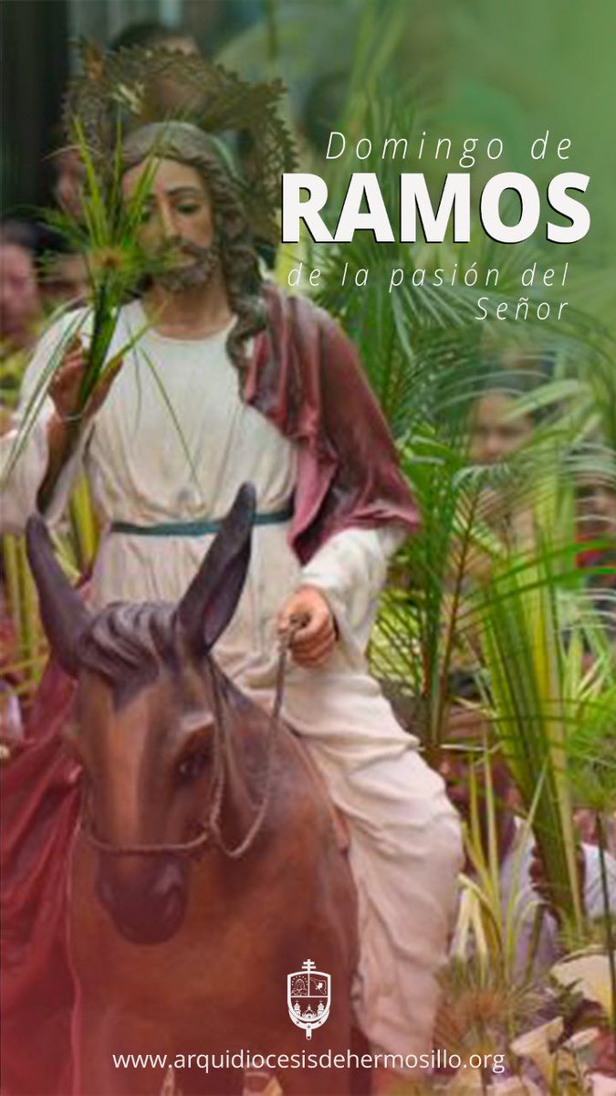 arquihillo's tweet photo. ¡Bendito el rey que viene en nombre del Señor!¡Paz en el cielo y gloria en las alturas! Con la solemne entrada de Jesús a Jerusalén, celebrada este #DomingoDeRamos iniciamos la #SemanaSanta2022 https://t.co/b6Scb9894R