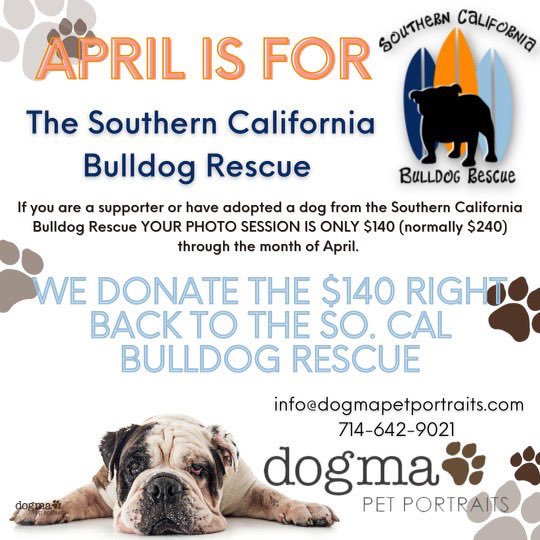 6 Tips For First Time Dog Adopters – Southern California Bulldog Rescue