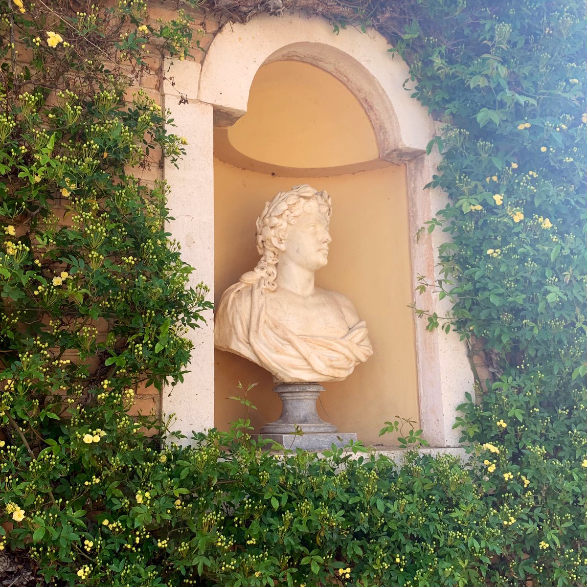 mentalmoon11's tweet photo. Y los Jardines preciosos 🥺.

#Aranjuez https://t.co/CDItFQ33AO