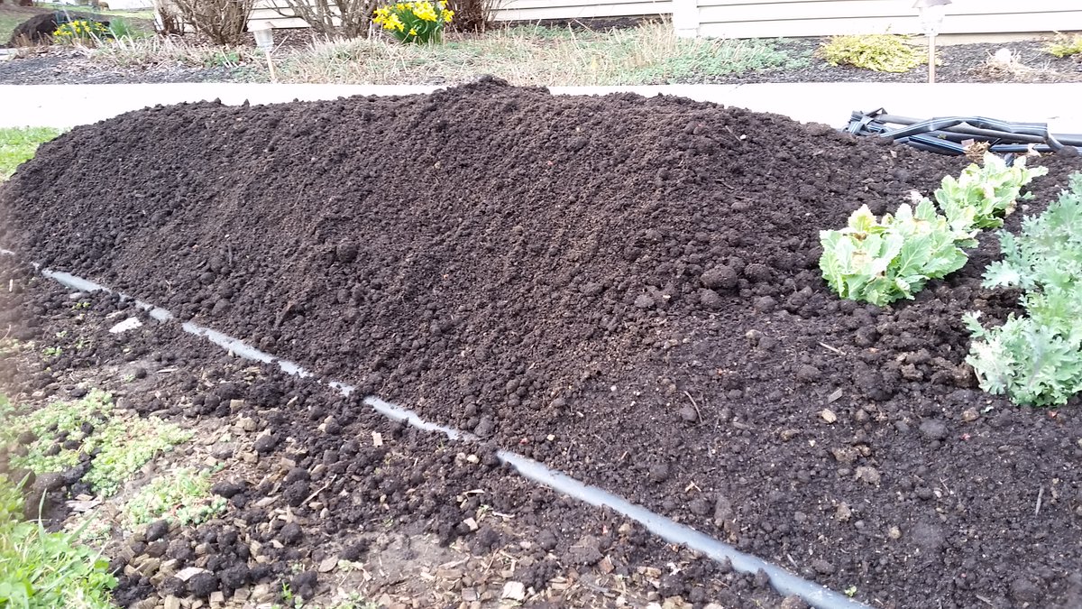 Did you know you can build a raised bed garden without building a frame around it? Create a border flush with the ground &amp; mound the soil within the border. It gives you more surface area to plant &amp; is unobtrusive. Perfect for gardeners who only have sun in front of their abode.