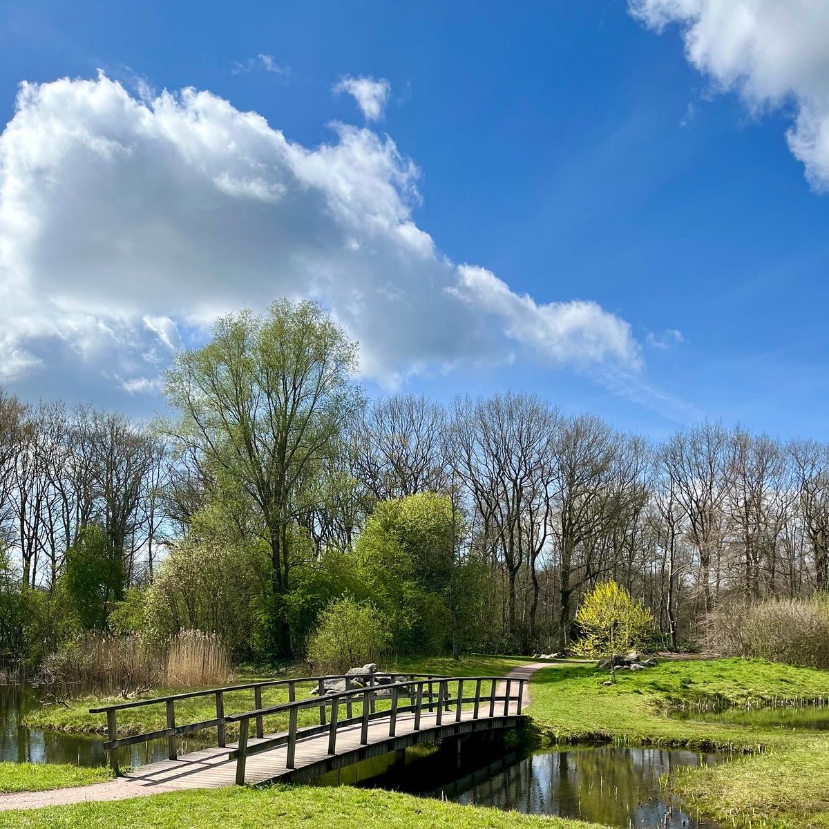 Visit De Lutte Losser tweet media