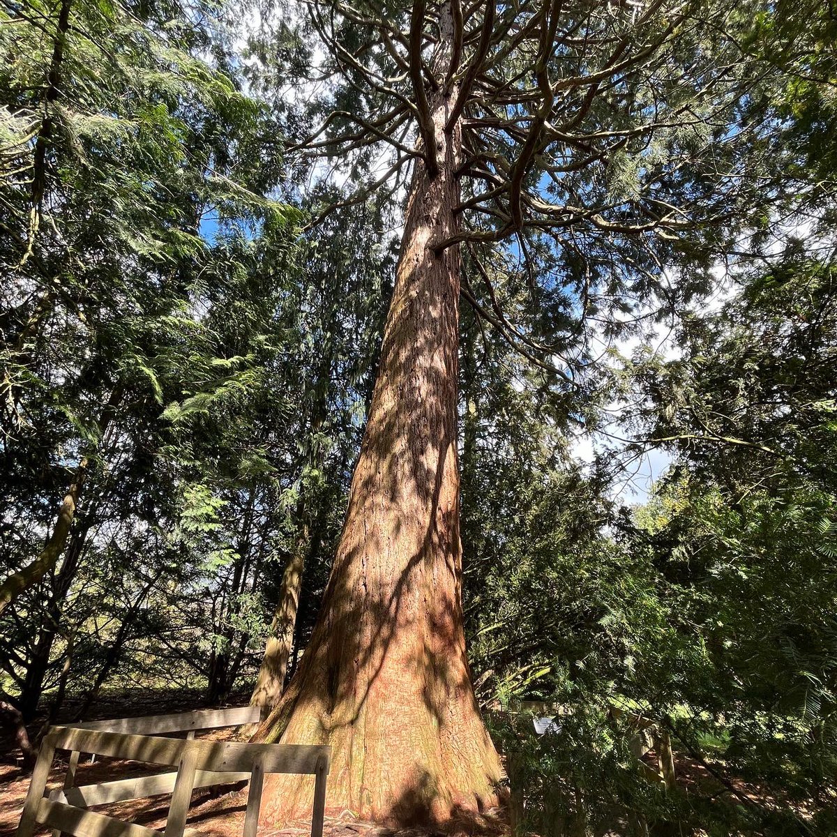 Visit De Lutte Losser tweet media