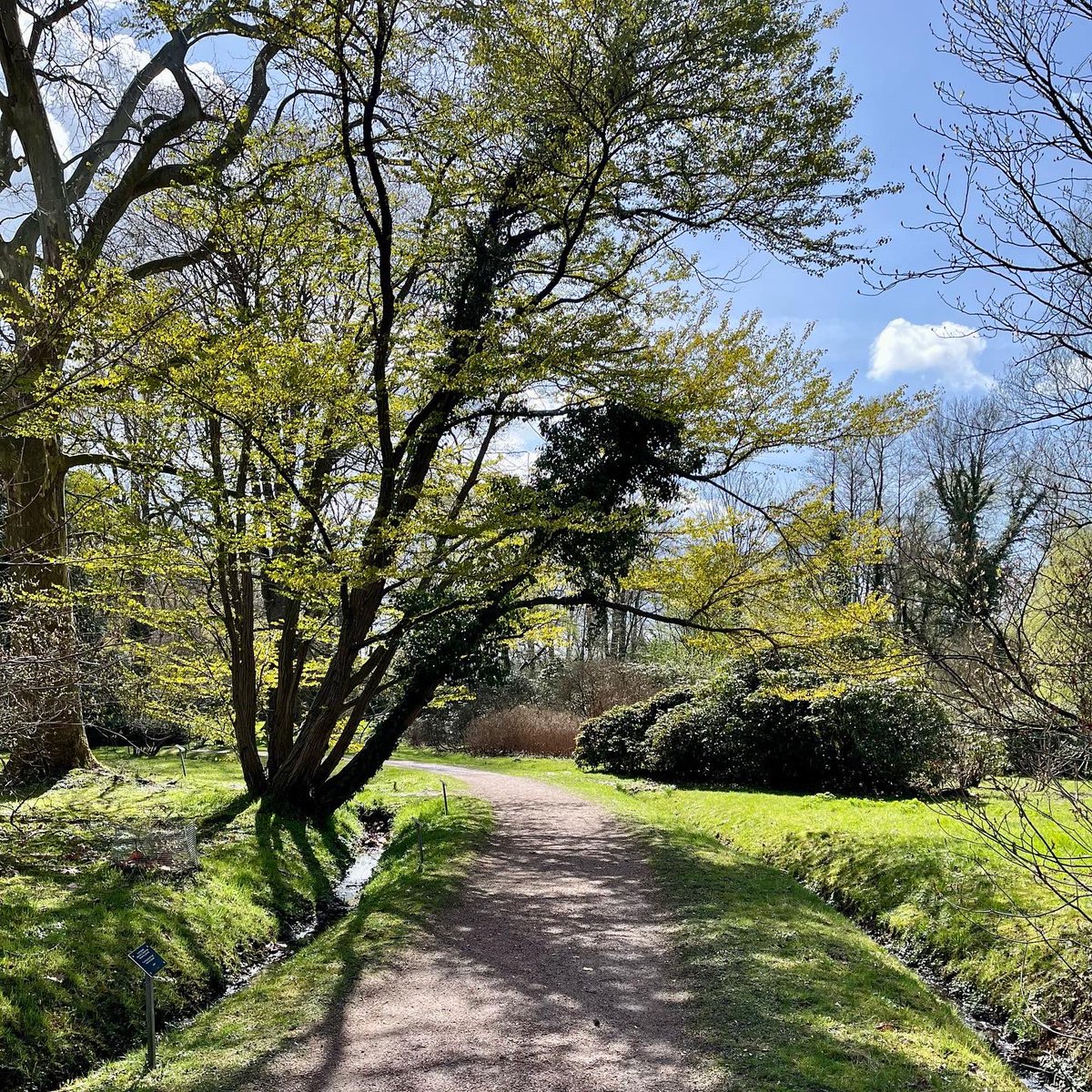 𝗔𝗿𝗯𝗼𝗿𝗲𝘁𝘂𝗺 𝗣𝗼𝗼𝗿𝘁𝗕𝘂𝗹𝘁𝗲𝗻 𝗮𝗹𝗹𝗲 𝘀𝗲𝗶𝘇𝗼𝗲𝗻 𝗺𝗼𝗼𝗶 💚. Wauw elk jaargetijde is dit park een bezoekje waard 🌿☘️🌳. Maar liefst 2500 verschillende soorten bomen en heesters, een oase van rust en een mooi poelenlandschap.