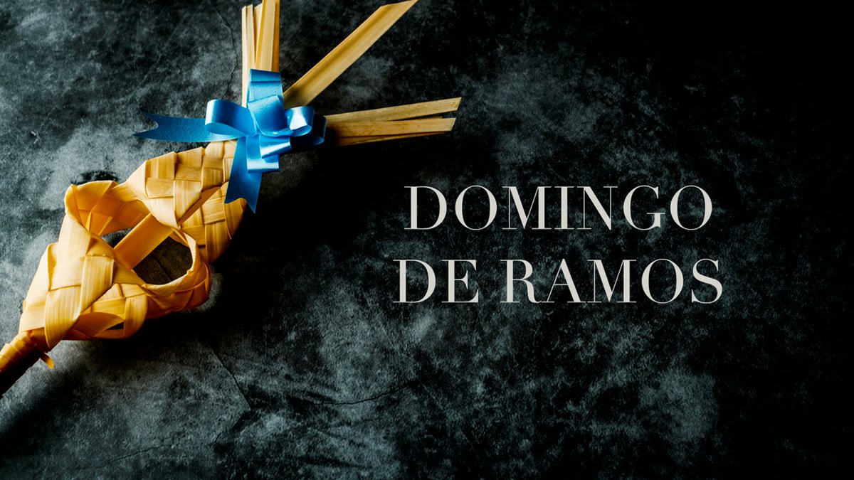 misericordiacrl's tweet photo. Feliz Domingo de Ramos. https://t.co/yQxcZzUZ5D